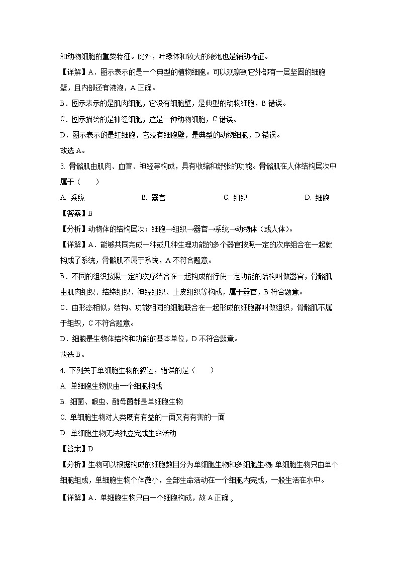 2024-2025学年甘肃省定西市渭源县七年级上学期期末生物试卷（解析版）第2页