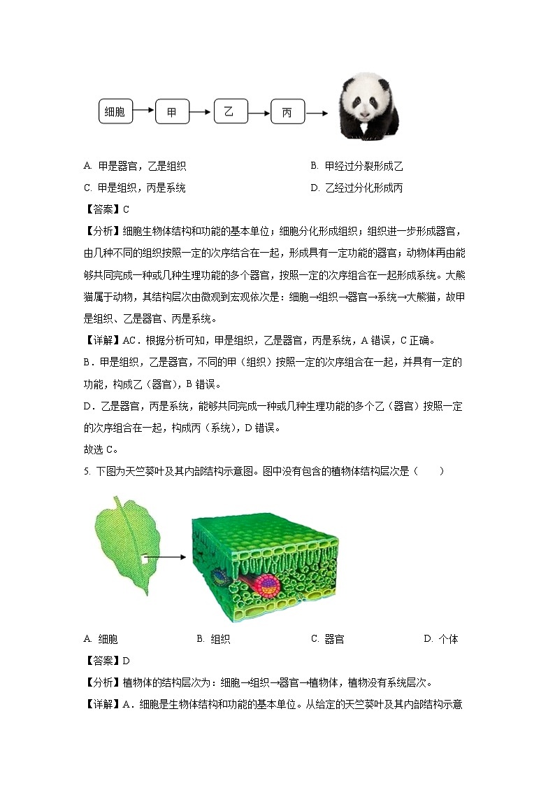 2024-2025学年甘肃省庆阳市七年级上学期期末生物试卷（解析版）第3页