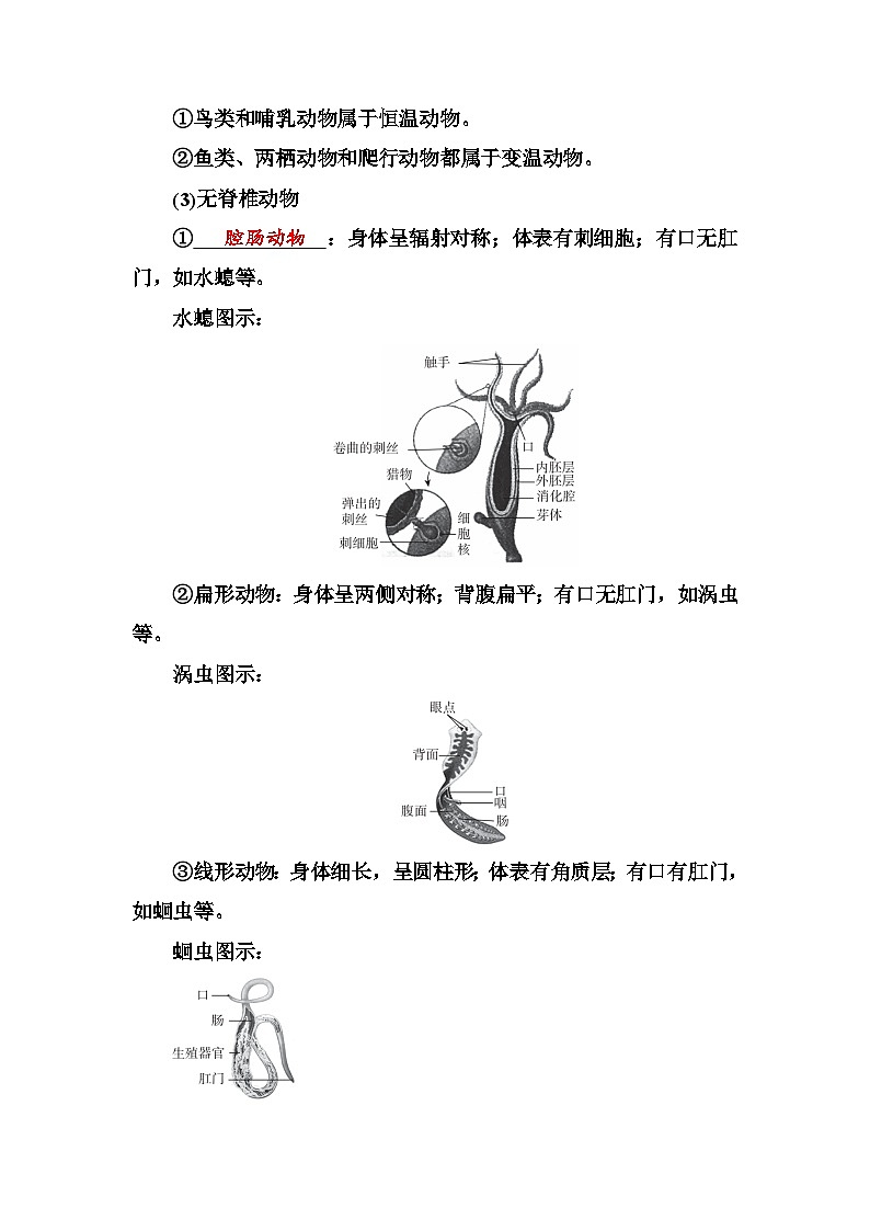 人教版中考生物冲刺复习：专题九 生物的多样性 考点提纲 学案第2页