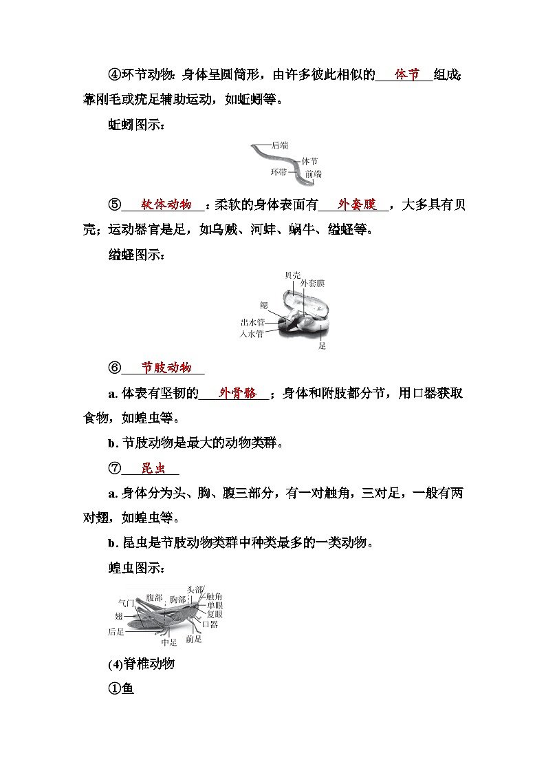 人教版中考生物冲刺复习：专题九 生物的多样性 考点提纲 学案第3页