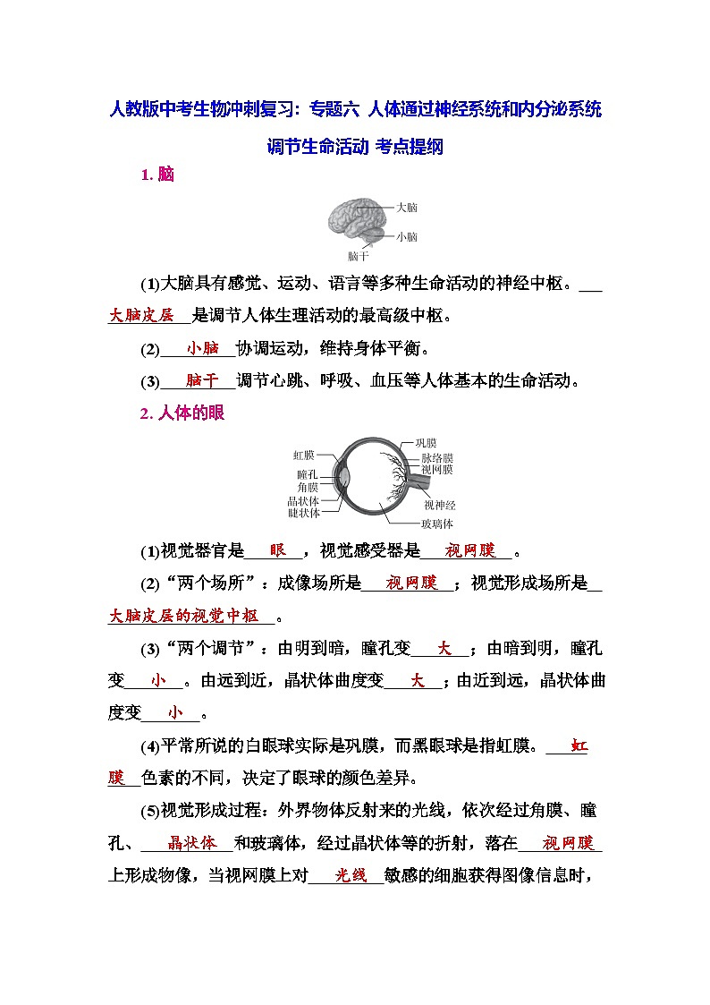 人教版中考生物冲刺复习：专题六 人体通过神经系统和内分泌系统调节生命活动 考点提纲 学案第1页