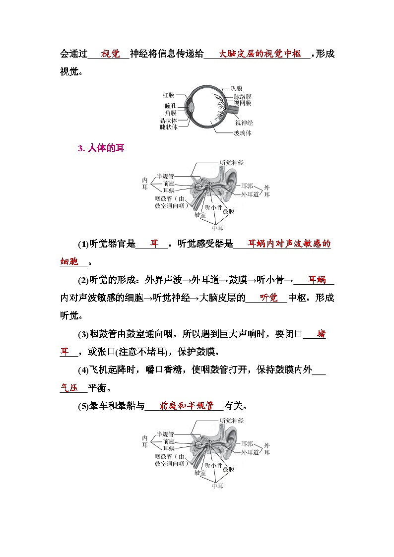 人教版中考生物冲刺复习：专题六 人体通过神经系统和内分泌系统调节生命活动 考点提纲 学案第2页