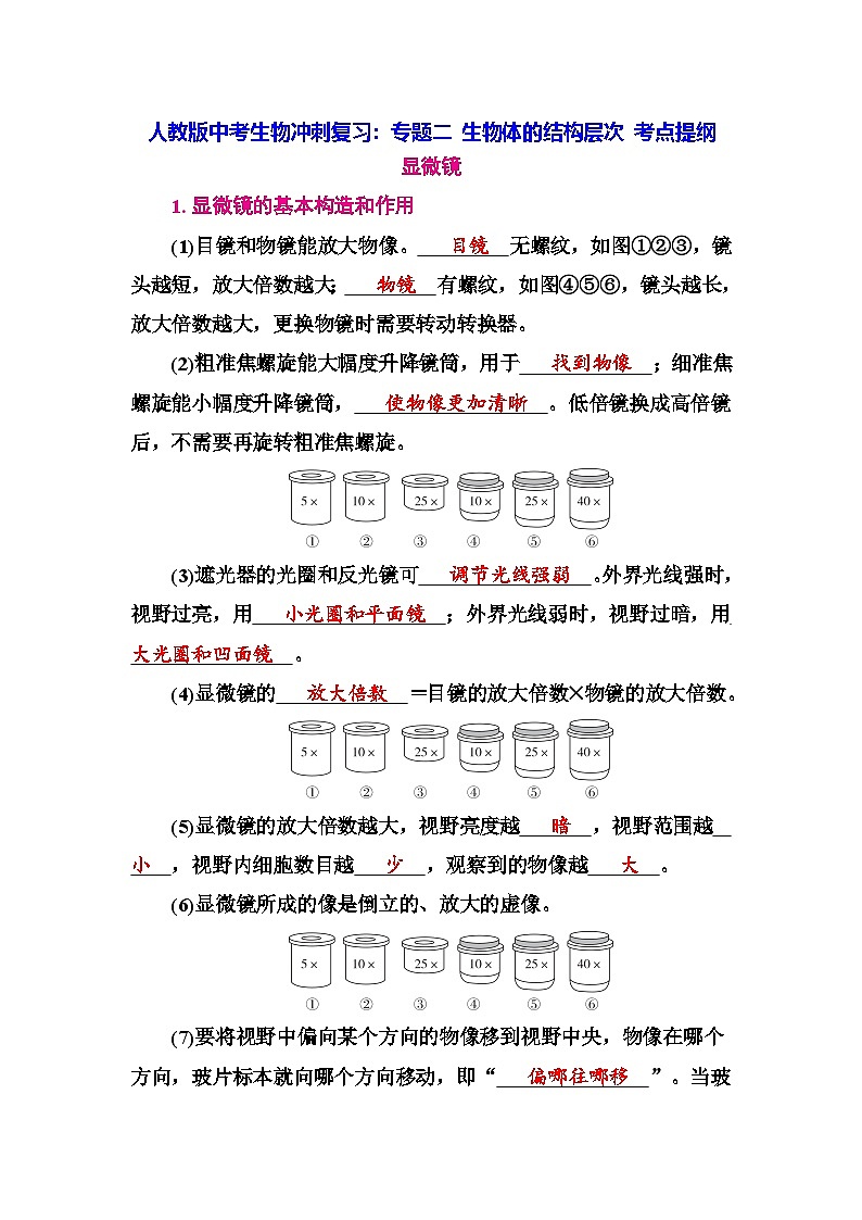人教版中考生物冲刺复习：专题二 生物体的结构层次 考点提纲 学案第1页