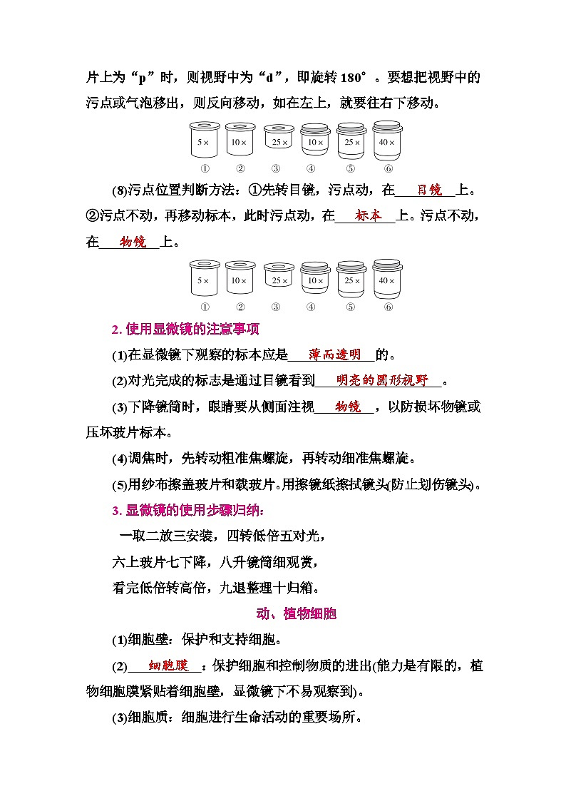 人教版中考生物冲刺复习：专题二 生物体的结构层次 考点提纲 学案第2页