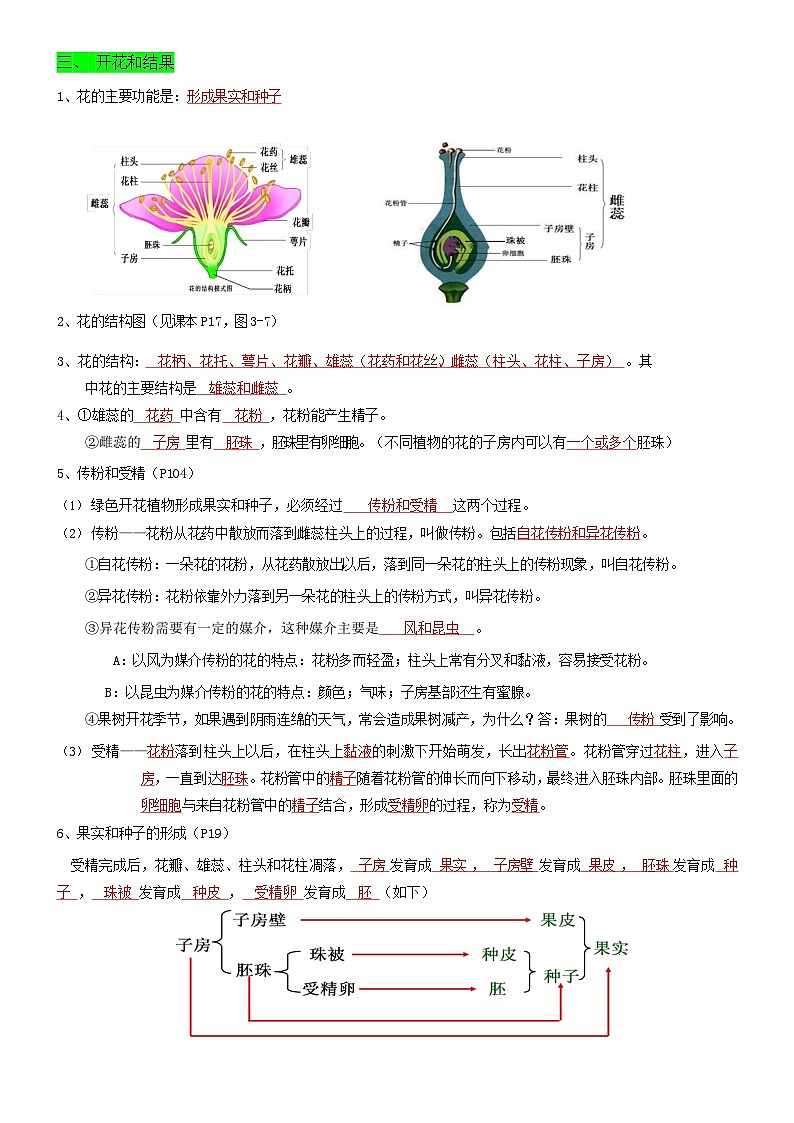 人教版（2024新版）生物七年级下册期末复习知识点提纲 学案第3页