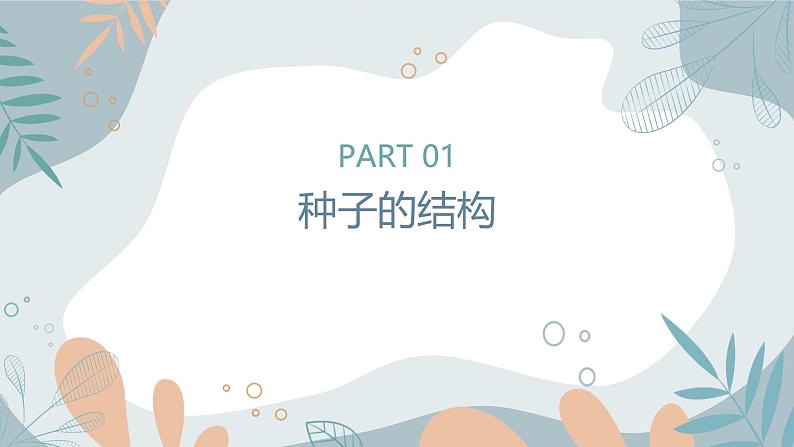 【核心素养目标】苏教版初中生物七年级下册4.9.1《种子的萌发》课件第4页