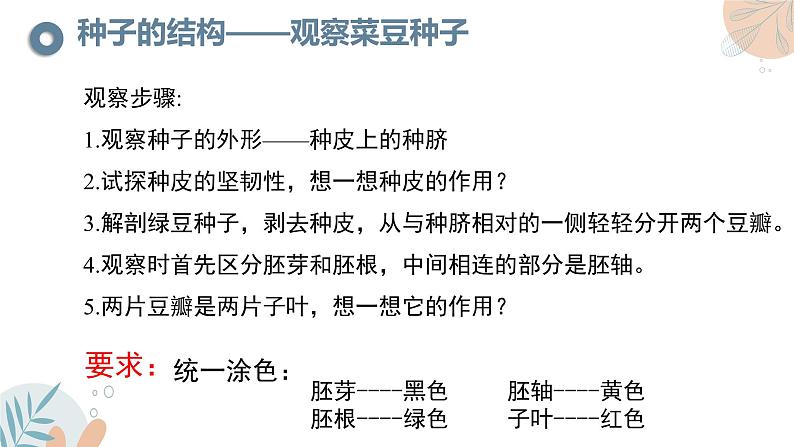 【核心素养目标】苏教版初中生物七年级下册4.9.1《种子的萌发》课件第7页