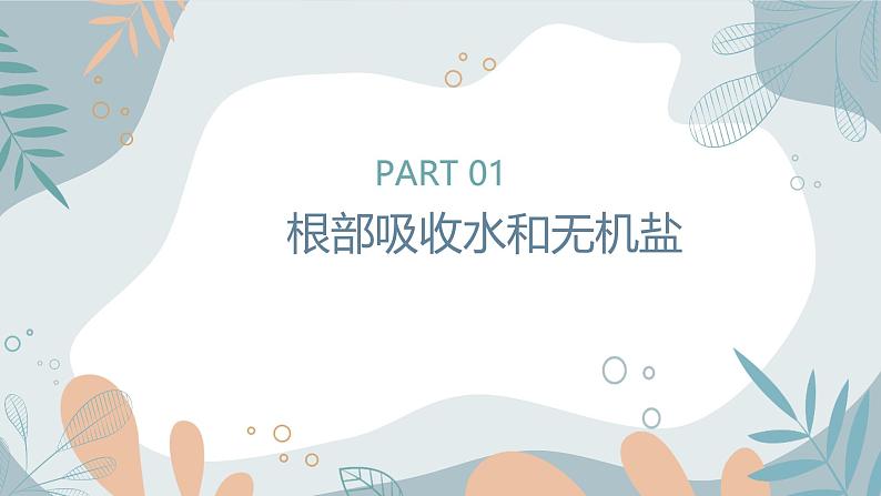 【核心素养目标】苏教版初中生物七年级下册4.10.1《植物的营养器官》课件第4页