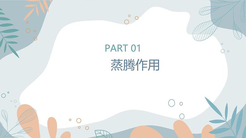 【核心素养目标】苏教版初中生物七年级下册4.10.2《生物圈中的水循环》课件第4页