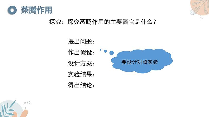 【核心素养目标】苏教版初中生物七年级下册4.10.2《生物圈中的水循环》课件第6页