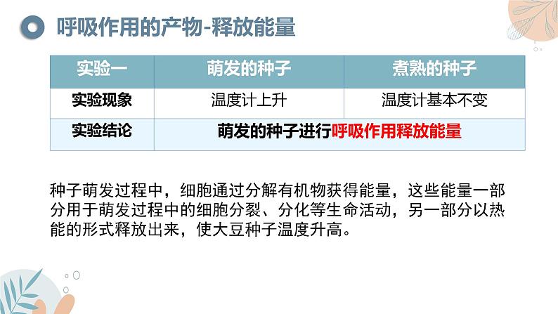 【核心素养目标】苏教版初中生物七年级下册4.11.2《植物的呼吸作用》课件第8页