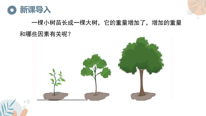 【核心素养目标】苏教版初中生物七年级下册4.11.1《植物的光合作用》课件第2页