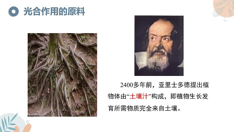 【核心素养目标】苏教版初中生物七年级下册4.11.1《植物的光合作用》课件第5页