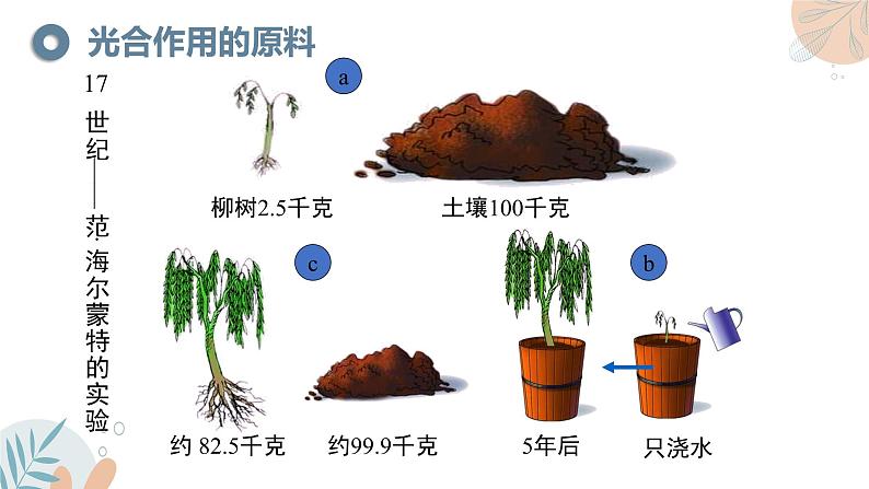 【核心素养目标】苏教版初中生物七年级下册4.11.1《植物的光合作用》课件第6页