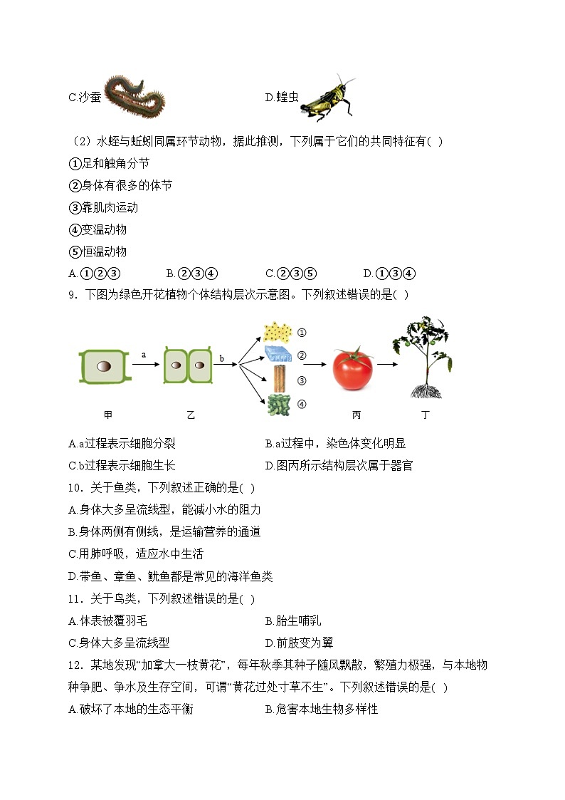 江苏省南京市栖霞区2024-2025学年七年级上学期期末考试生物试卷(含答案)第3页