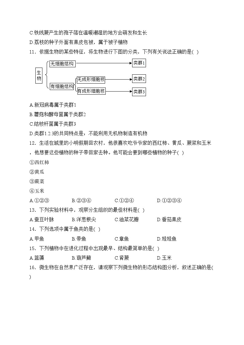 四川省攀枝花市东区2024-2025学年七年级上学期1月期末生物试卷(含答案)第2页