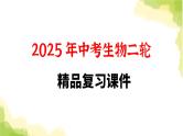 2025中考生物二轮复习 专项二 生物圈中的绿色植物练习（课件）
