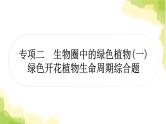 2025中考生物二轮复习 专项二 生物圈中的绿色植物练习（课件）