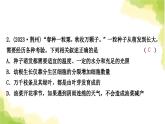 2025中考生物二轮复习 专项二 生物圈中的绿色植物练习（课件）
