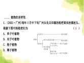 2025中考生物二轮复习 专项六 生物的多样性练习（课件）