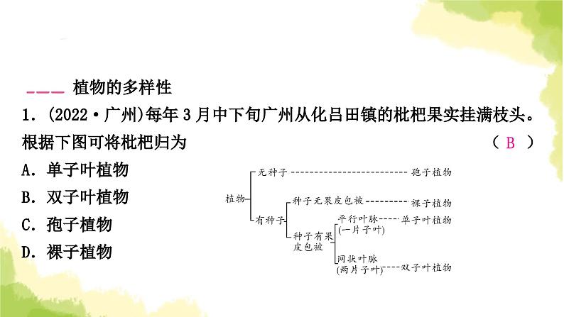 2025中考生物二轮复习 专项六 生物的多样性练习（课件）第3页