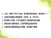 2025中考生物二轮复习 专项六 生物的多样性练习（课件）