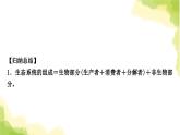 2025中考生物二轮复习 专项三 生物与环境练习（课件）