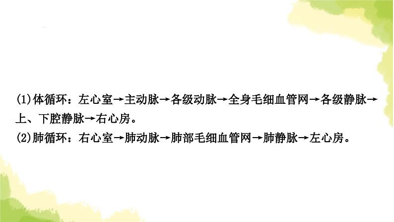 2025中考生物二轮复习 专项四 生物圈中的人练习（课件）第4页