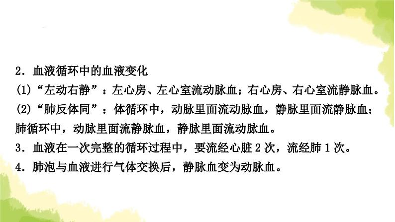 2025中考生物二轮复习 专项四 生物圈中的人练习（课件）第5页