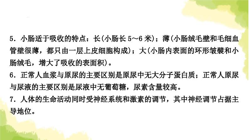 2025中考生物二轮复习 专项四 生物圈中的人练习（课件）第6页