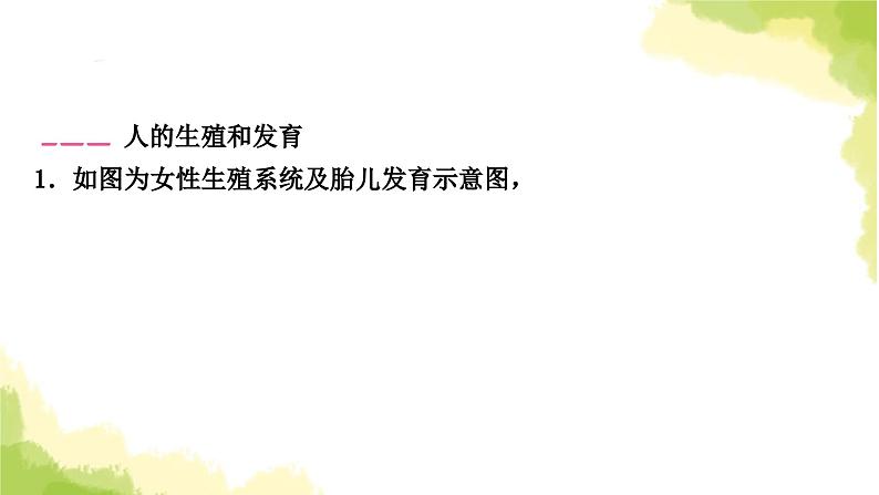 2025中考生物二轮复习 专项四 生物圈中的人练习（课件）第8页