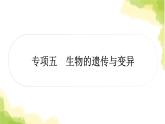 2025中考生物二轮复习 专项五 生物的遗传与变异练习（课件）