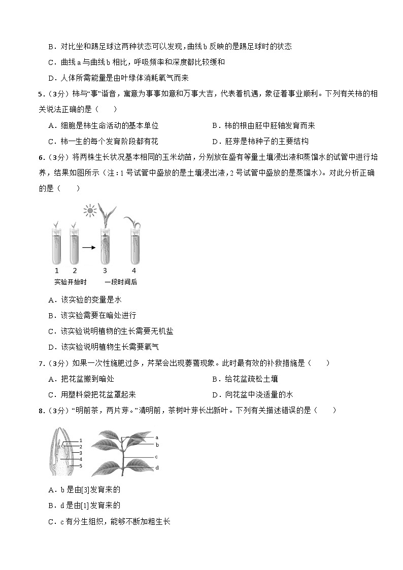 人教版（2024新版）七年级下册生物第三单元 植物的生活 单元提升测试卷（含答案）第2页