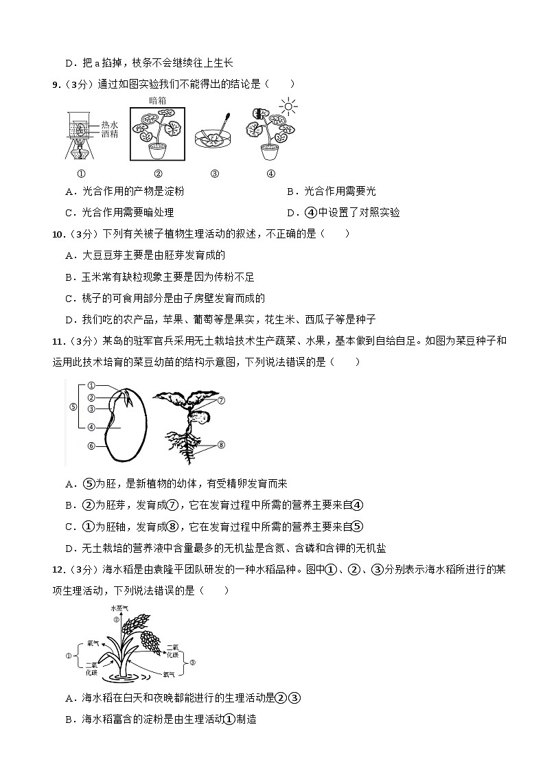 人教版（2024新版）七年级下册生物第三单元 植物的生活 单元提升测试卷（含答案）第3页