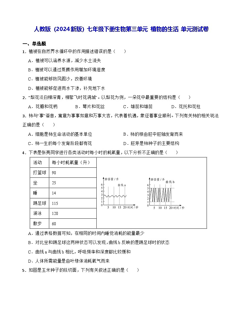 人教版（2024新版）七年级下册生物第三单元 植物的生活 单元测试卷（含答案）第1页