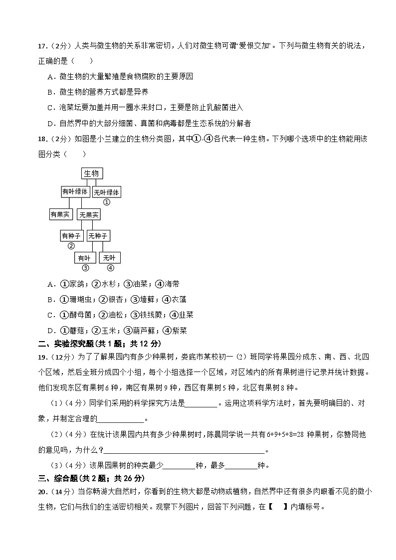 人教版（2024新版）七年级上册生物第二单元 多种多样的生物 单元测试卷（含答案）第3页