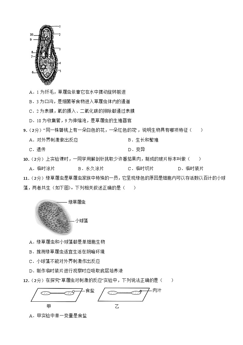 人教版（2024新版）七年级上册生物第一单元 生物和细胞 单元测试卷（含答案）第2页
