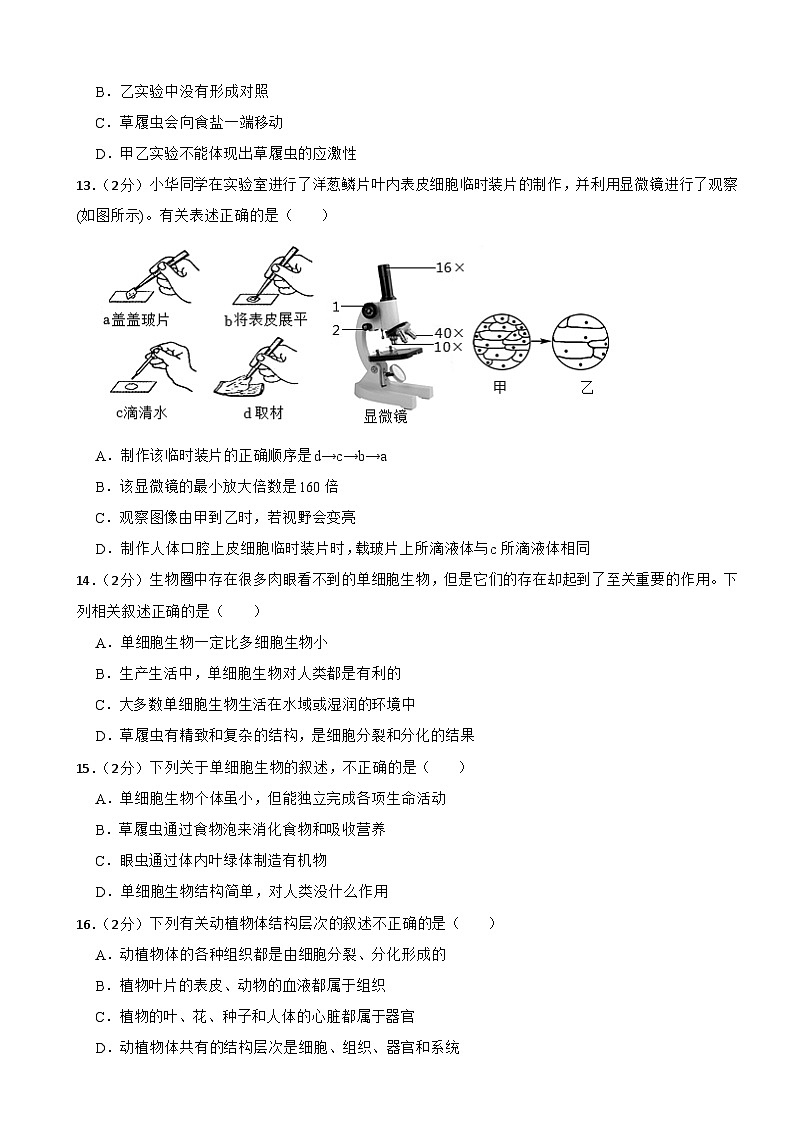 人教版（2024新版）七年级上册生物第一单元 生物和细胞 单元测试卷（含答案）第3页
