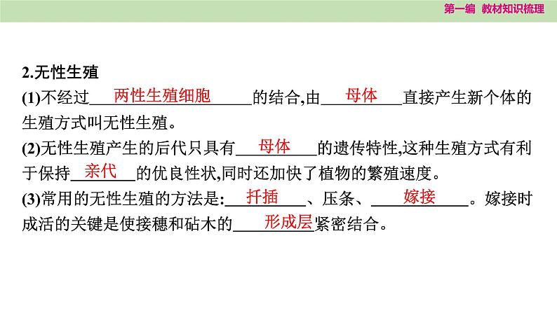 2025年中考知识整理八年级生物下册 第二十课时　生物的生殖和发育课件PPT第3页