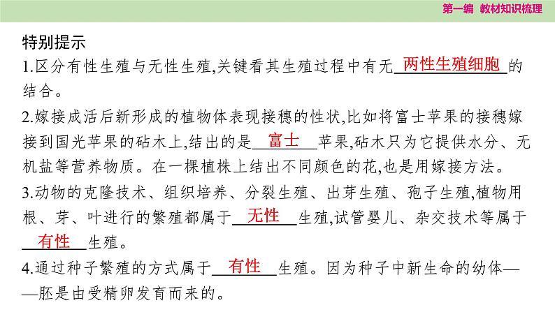 2025年中考知识整理八年级生物下册 第二十课时　生物的生殖和发育课件PPT第5页