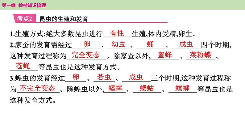 2025年中考知识整理八年级生物下册 第二十课时　生物的生殖和发育课件PPT第7页