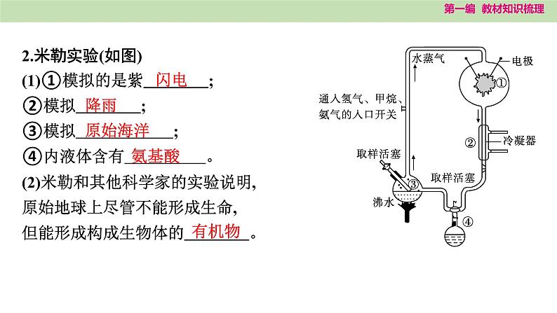 2025年中考知识整理八年级生物下册 第二十二课时　生命的起源和生物的进化课件PPT第3页