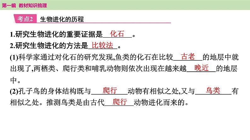 2025年中考知识整理八年级生物下册 第二十二课时　生命的起源和生物的进化课件PPT第6页