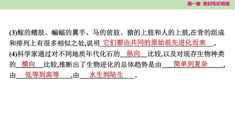 2025年中考知识整理八年级生物下册 第二十二课时　生命的起源和生物的进化课件PPT第7页