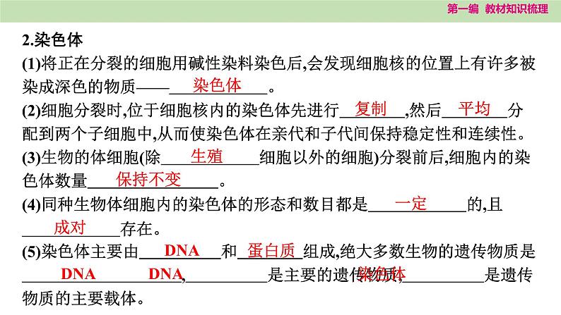 2025年中考知识整理八年级生物下册 第二十一课时　生物的遗传和变异课件PPT第3页