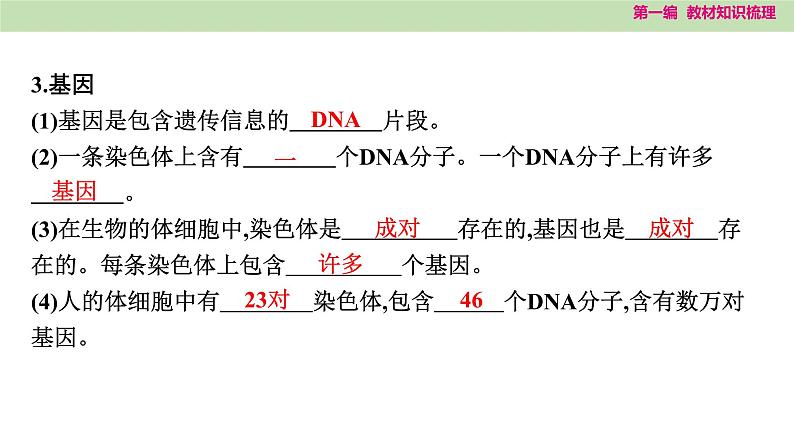 2025年中考知识整理八年级生物下册 第二十一课时　生物的遗传和变异课件PPT第4页