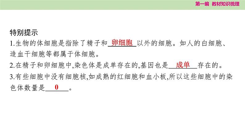 2025年中考知识整理八年级生物下册 第二十一课时　生物的遗传和变异课件PPT第5页