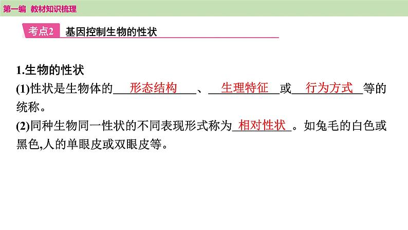 2025年中考知识整理八年级生物下册 第二十一课时　生物的遗传和变异课件PPT第8页