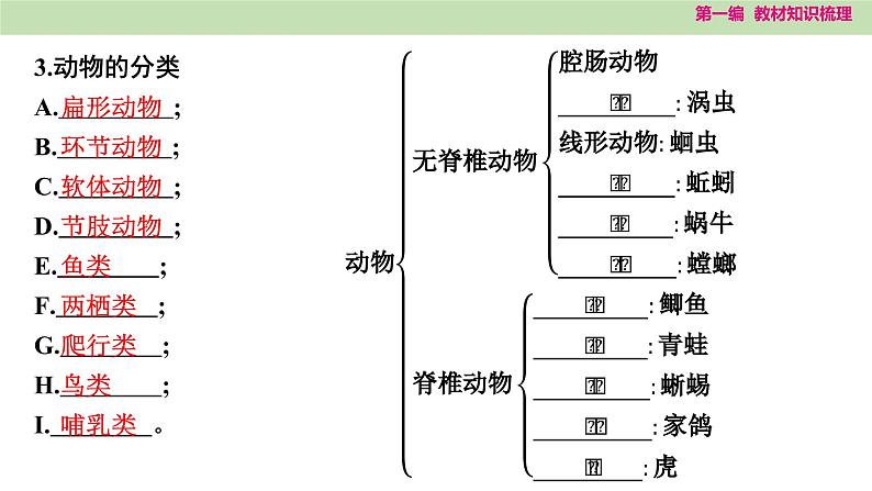 2025年中考知识整理八年级生物下册 第二十三课时　生物的多样性及其保护课件PPT第4页