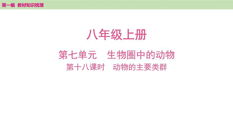 2025年中考知识整理八年级生物上册 第十八课时　动物的主要类群课件PPT第1页